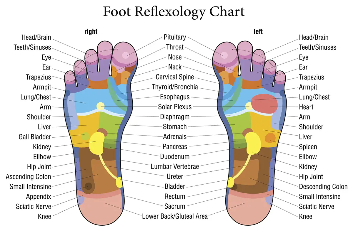 Reflexology Rochester NY